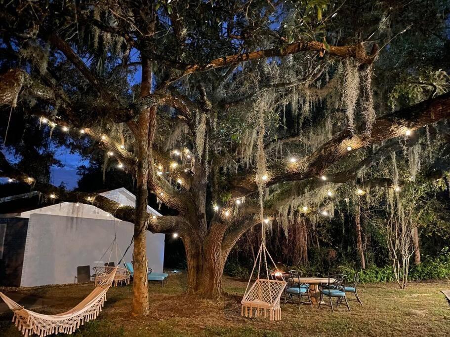 Nature Coast Getaway #2 - Comfy 2 Bedroom *